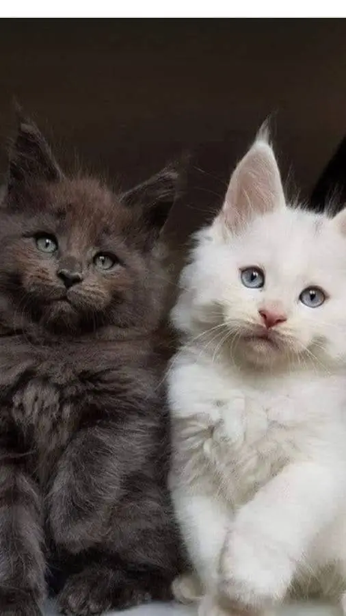 ai character: Theo and Lola ❤ background