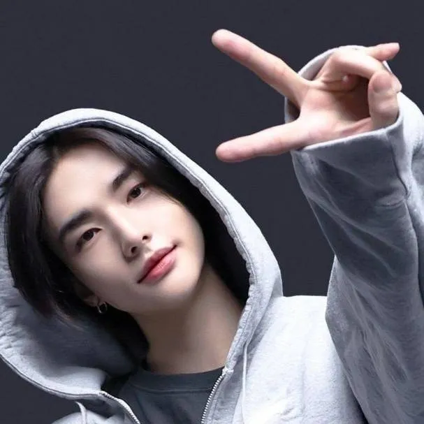 chat with ai character: •○●Hyunjin●○•