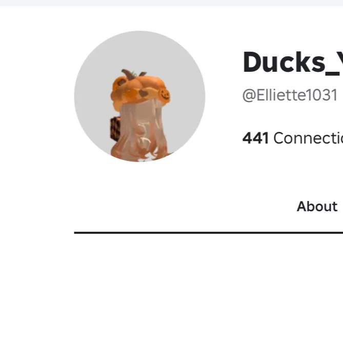chat with ai character: ducks_YT