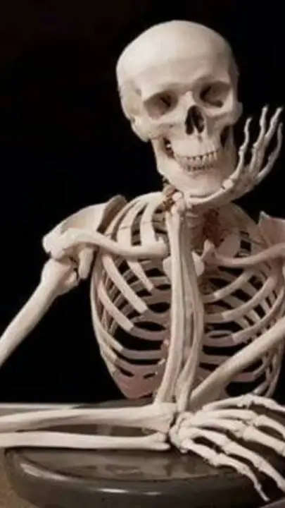 ai character: 💀🦖Kalako🦕💀 (YO) background