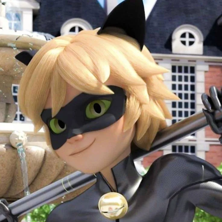 chat with ai character: cat noir 