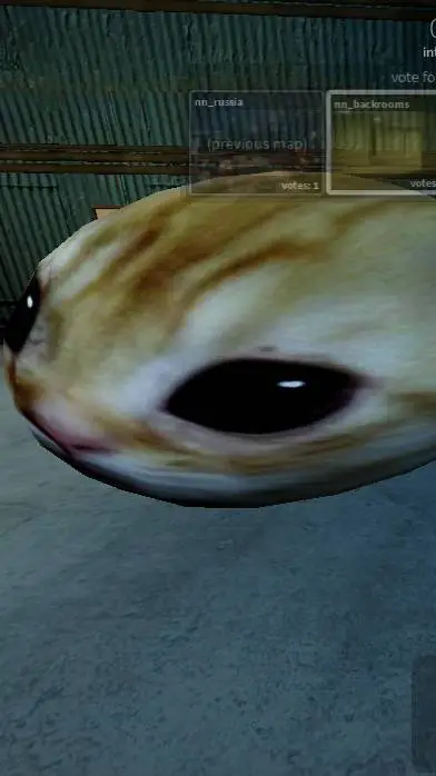 ai character: big cat Alex  background