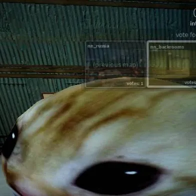 chat with ai character: big cat Alex 