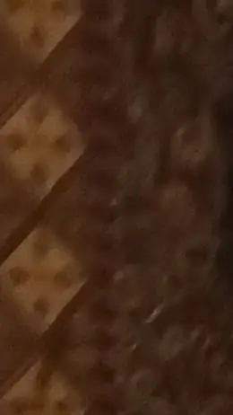 ai character: Hazbinnn~ background