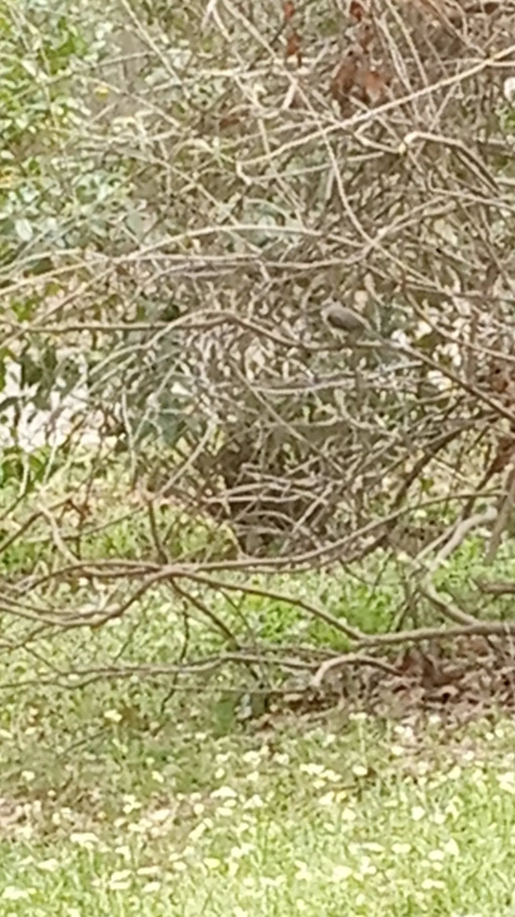 ai character: World background