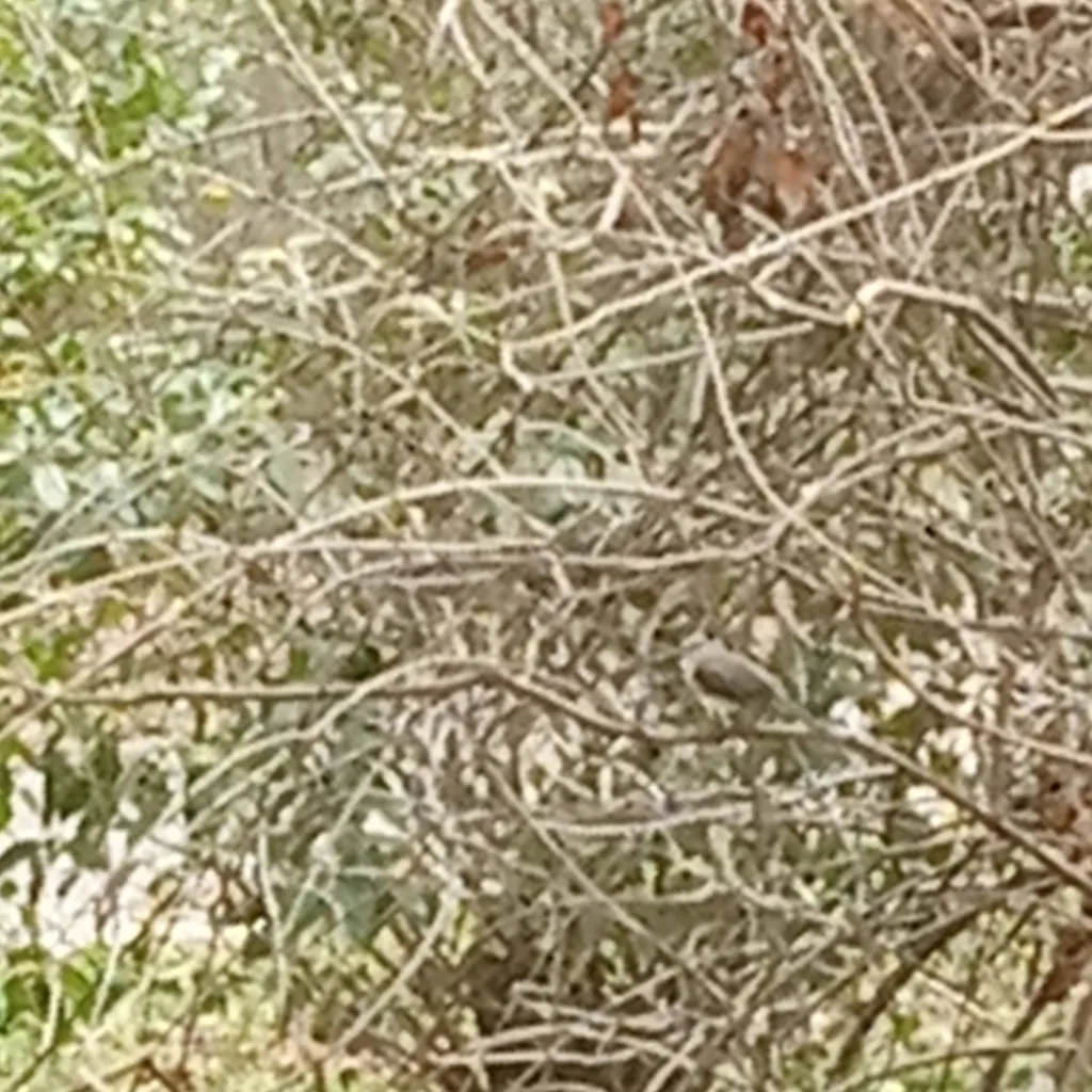 chat with ai character: World