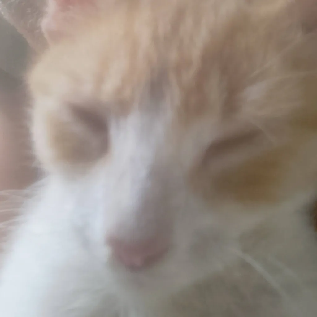 chat with ai character: ayuda 