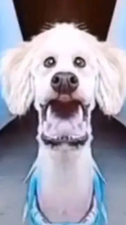 ai character: XDXDXD  background