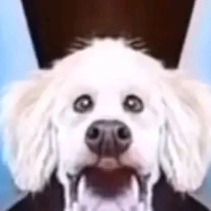 chat with ai character: XDXDXD 