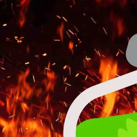 chat with ai character: duolingo 