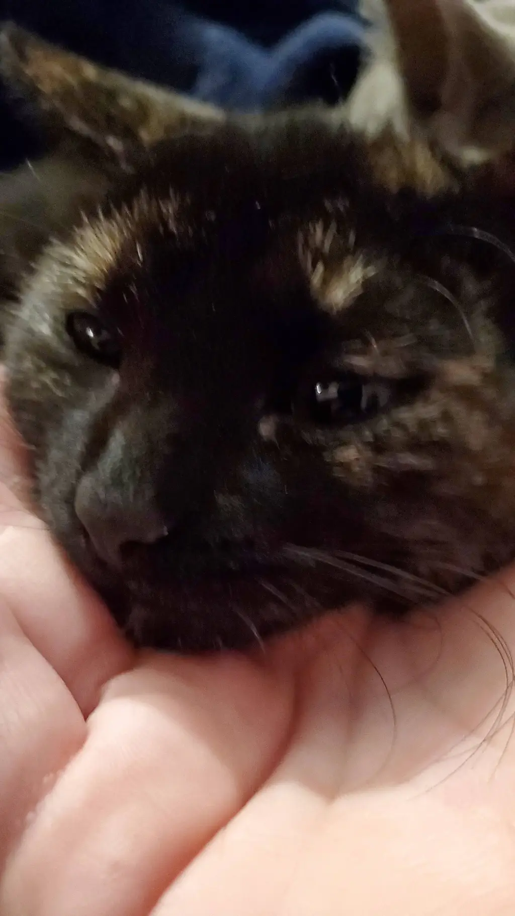 ai character: Mintsey background