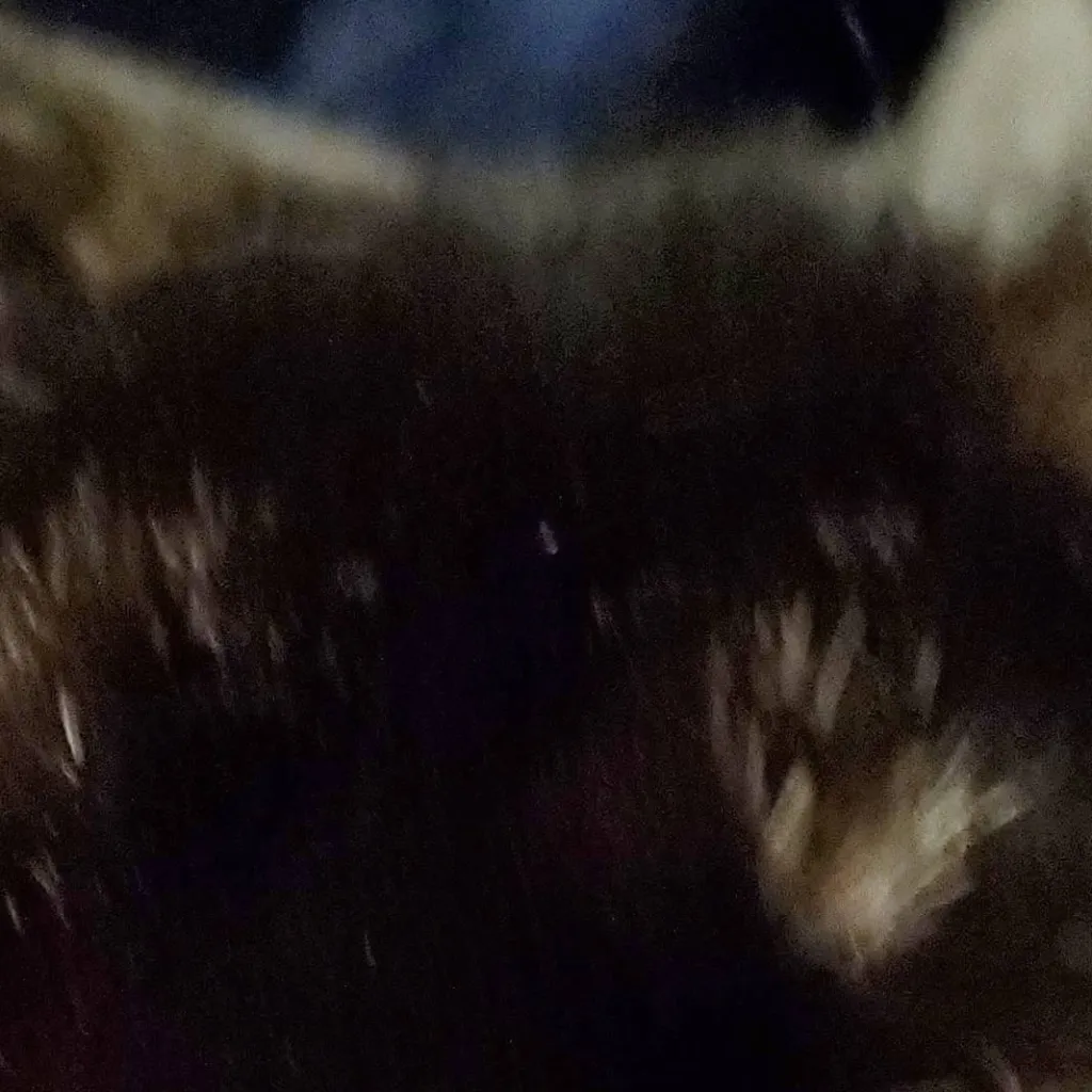 chat with ai character: Mintsey