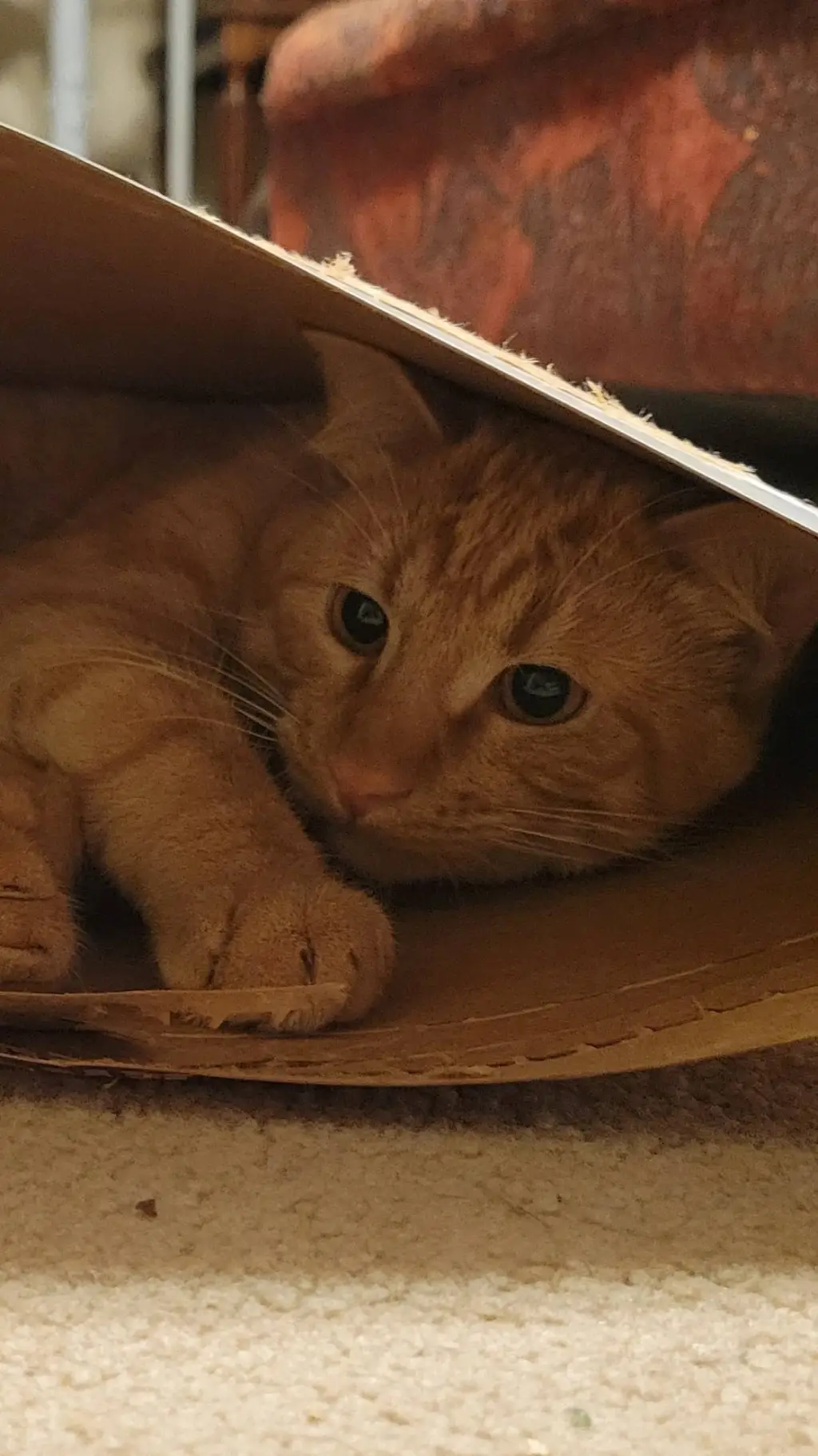 ai character: Friend group background