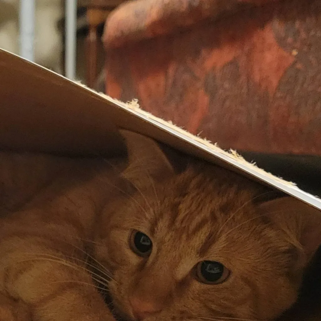 chat with ai character: Friend group