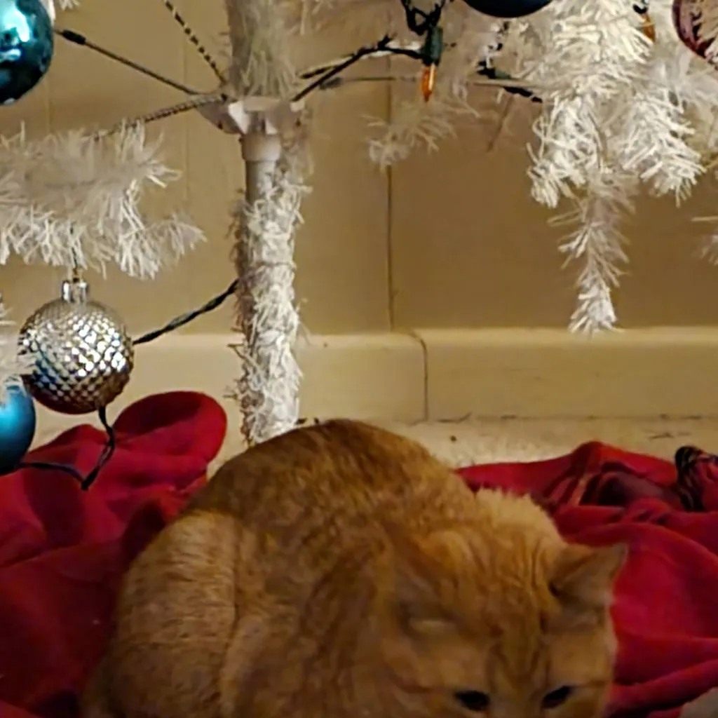 chat with ai character: Abandoned.........