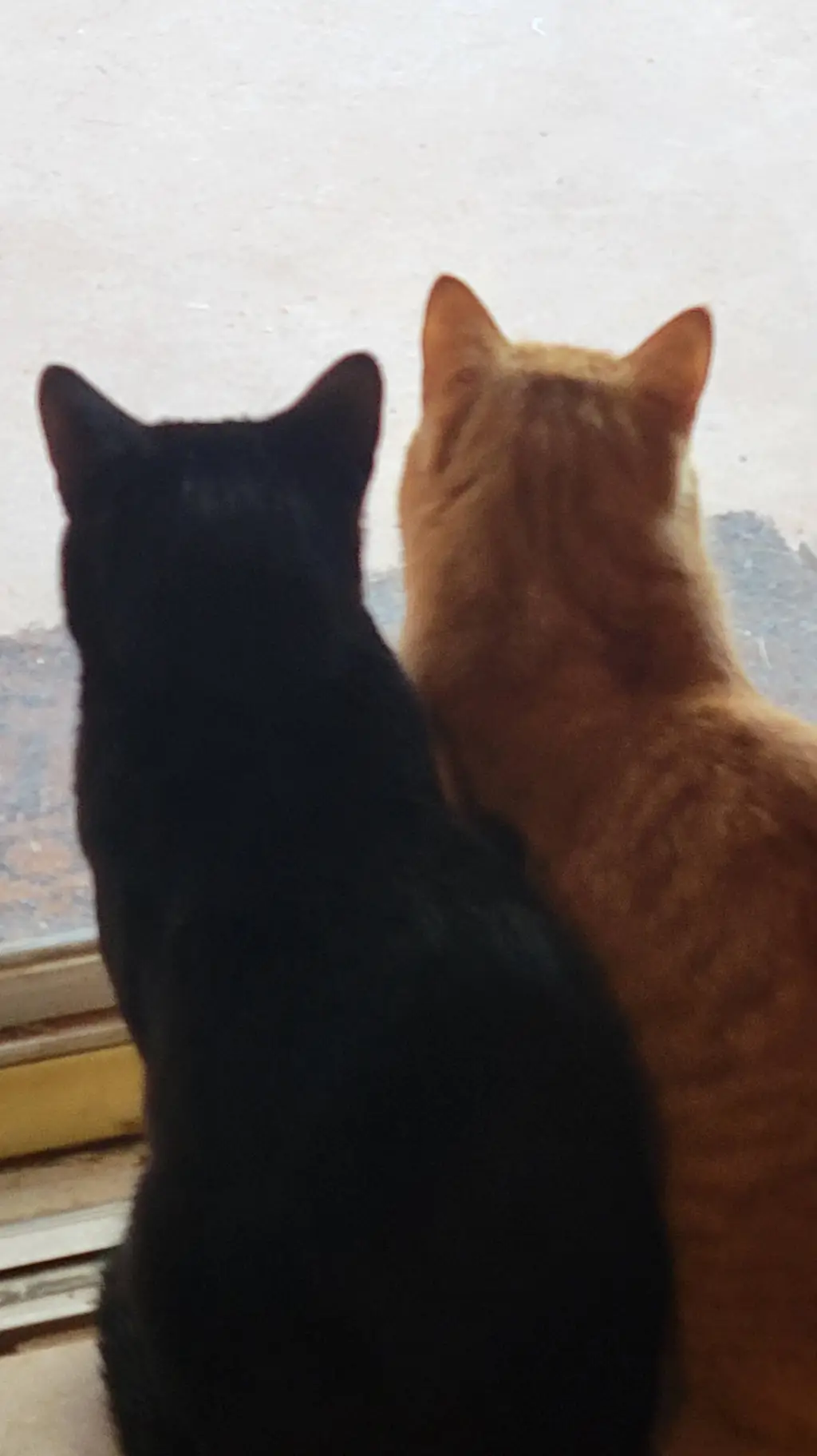 ai character: Funaral background