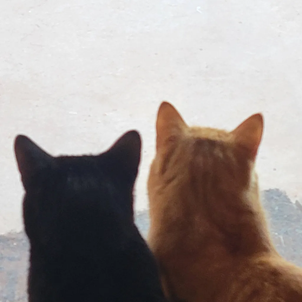 chat with ai character: Funaral