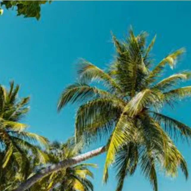 chat with ai character: mini forsaken 