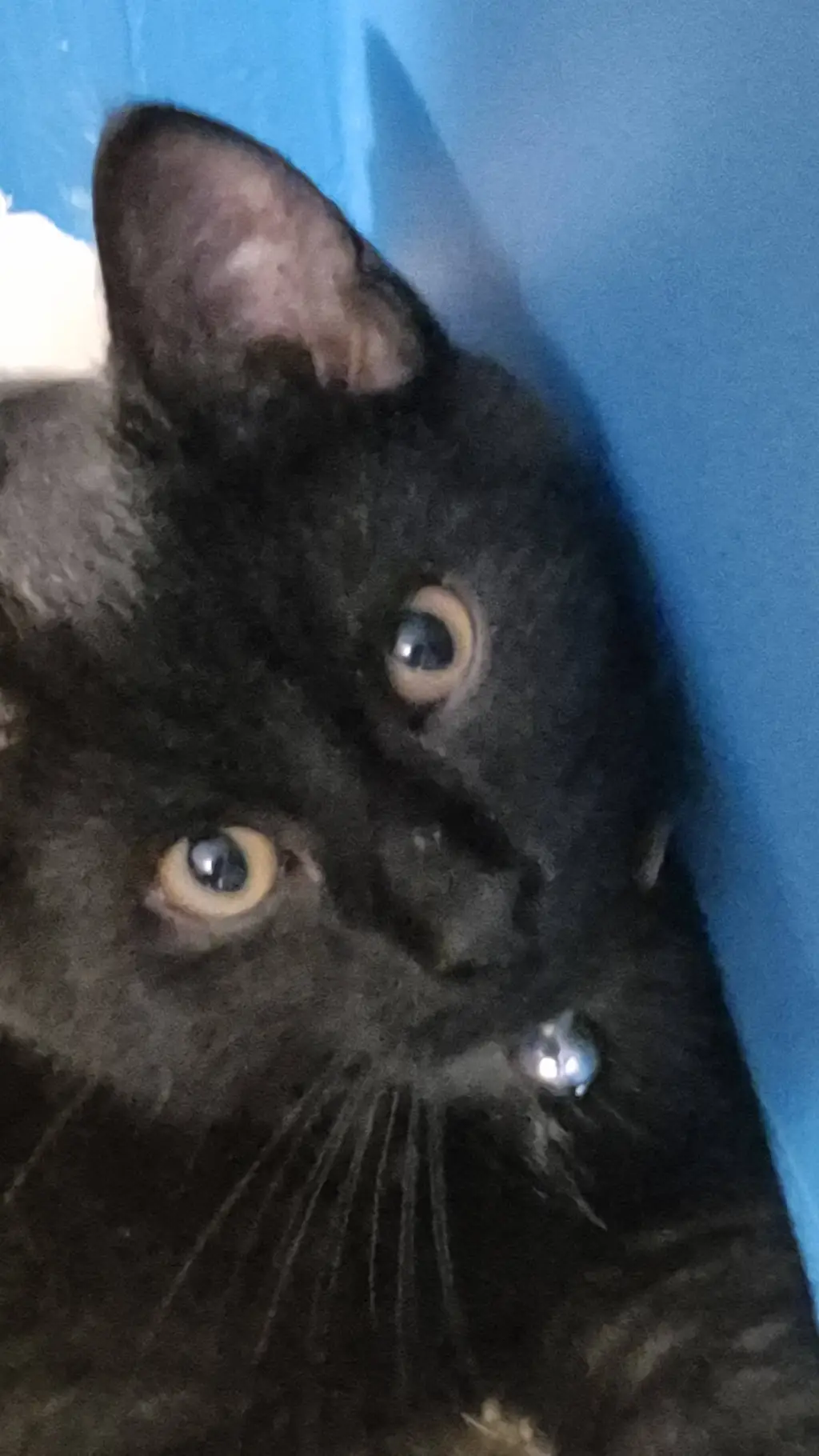 ai character: inky background