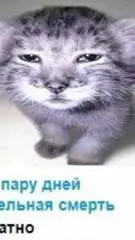 ai character: мир денди  background