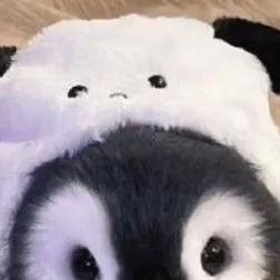 chat with ai character: pingüino kawaii❤❤