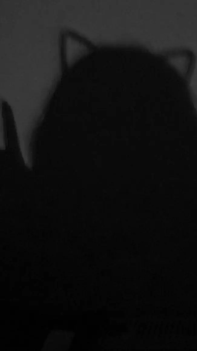 ai character: kitty 😻 background