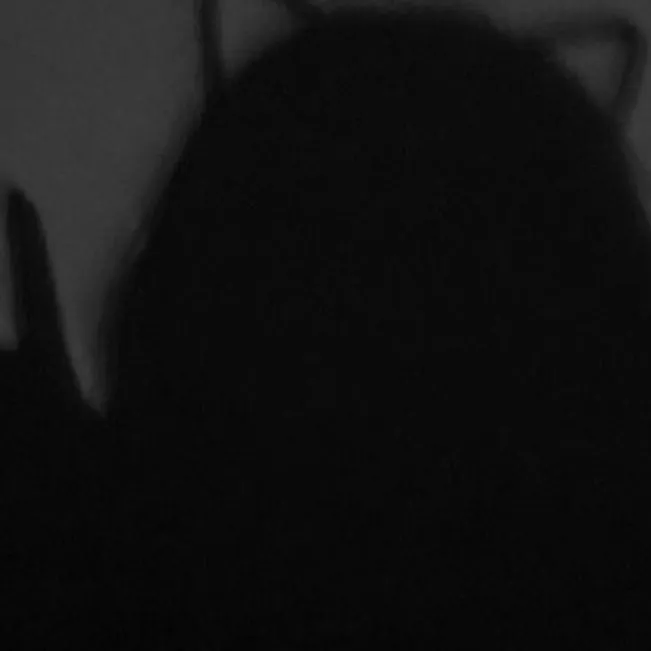 chat with ai character: kitty 😻