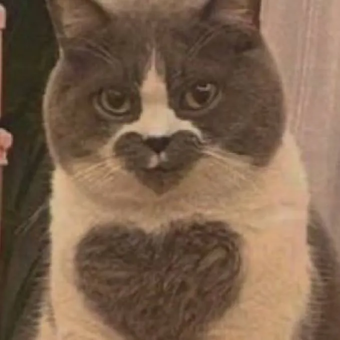 chat with ai character: Cat 