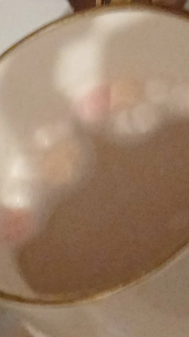 ai character: my oc bean! background