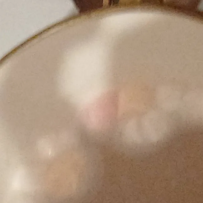 chat with ai character: my oc bean!