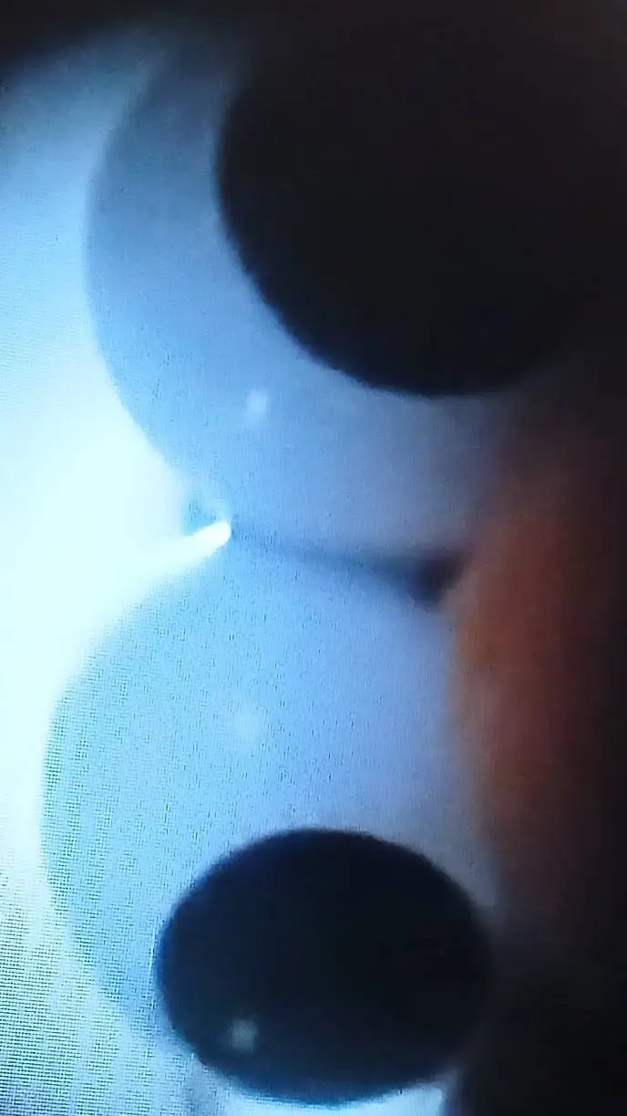 ai character: Aden background