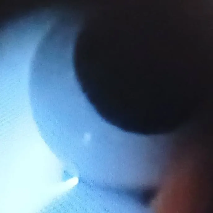 chat with ai character: Aden