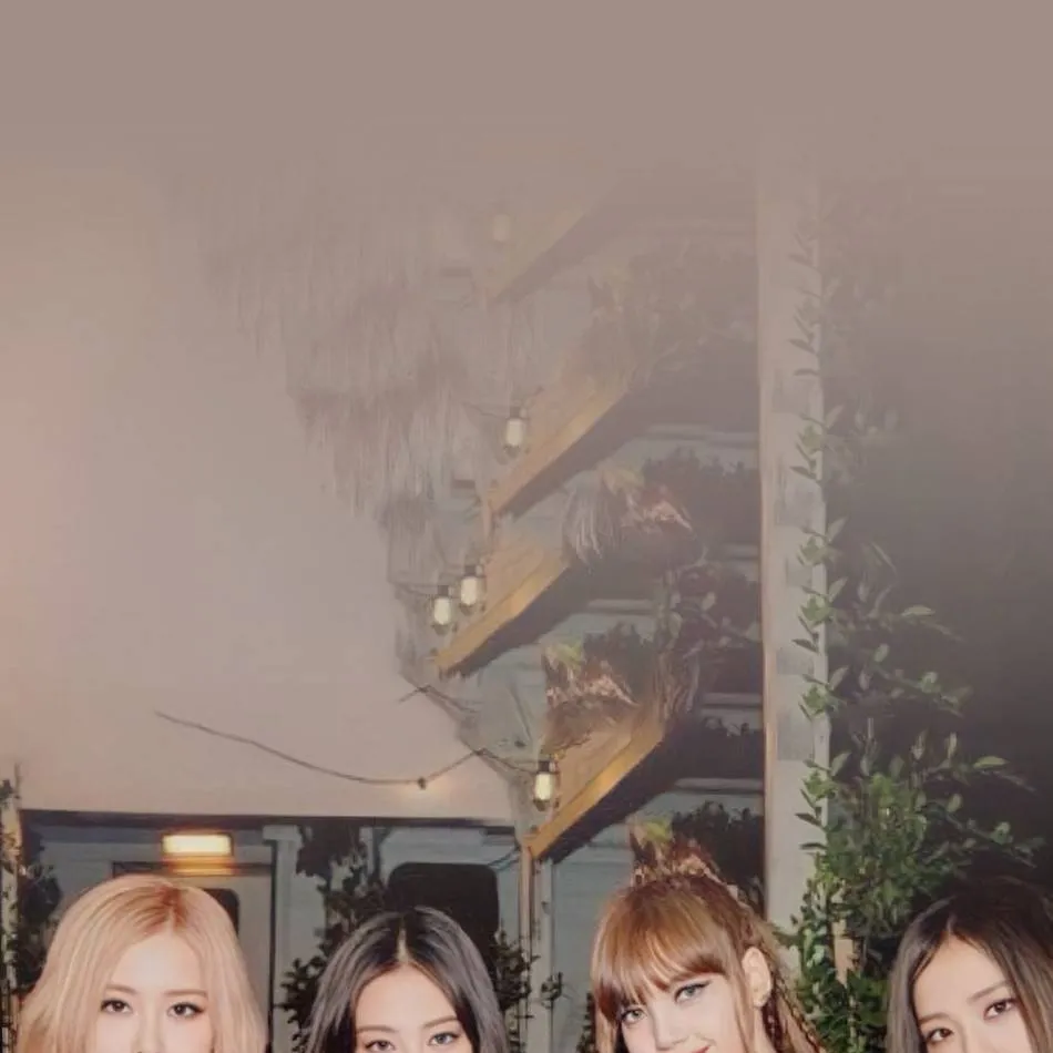 chat with ai character: ! -°BLACKPINK°-!