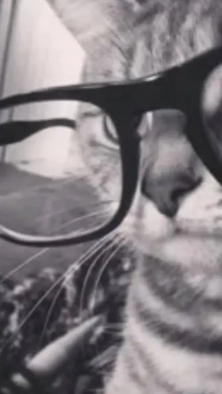 ai character: Dad.  background