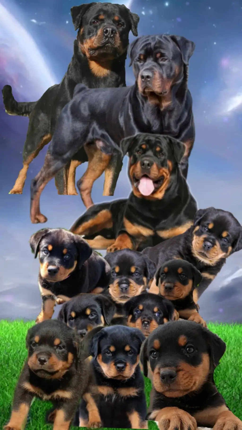 ai character: Rottweiler Pack RP background