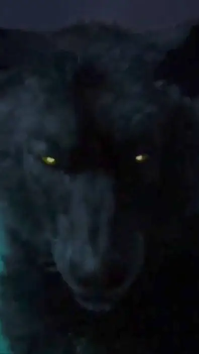 ai character: You are the B-Wolf background