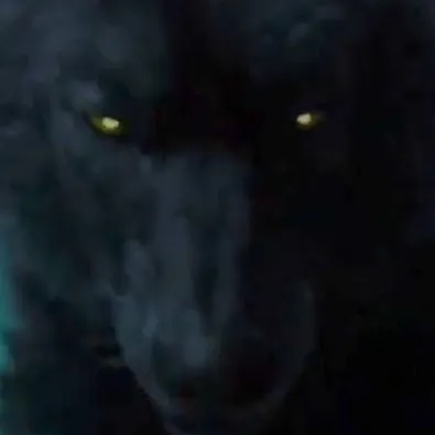 chat with ai character: You are the B-Wolf