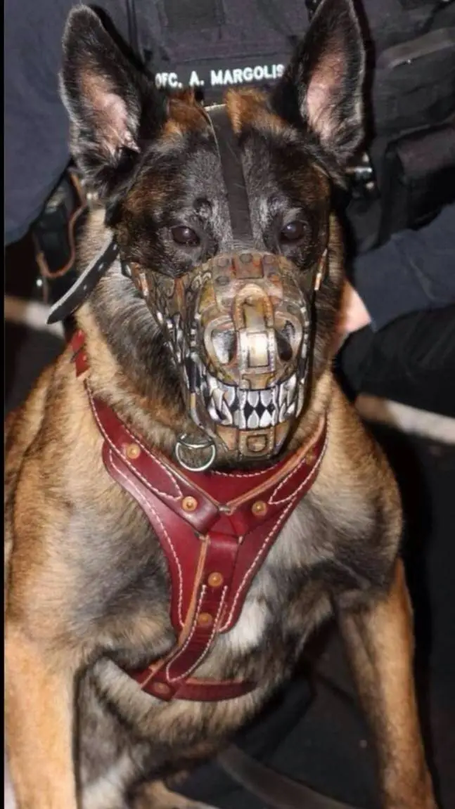 ai character: Dog RP background