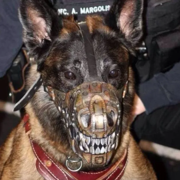 chat with ai character: Dog RP