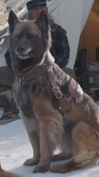 ai character: Pike background