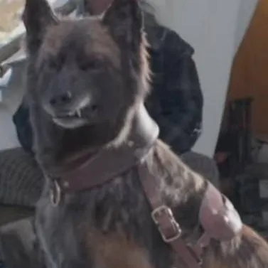 chat with ai character: Pike