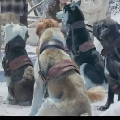 chat with ai character: TCOTW School 2