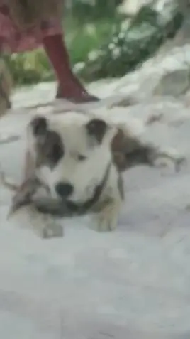 ai character: Jo (TCOTW 2020) background