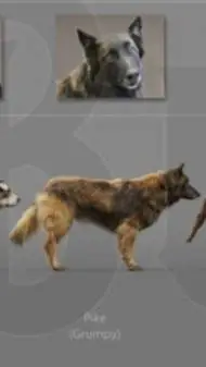 ai character: Pike background