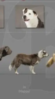 ai character: Jo (TCOTW 2020) background