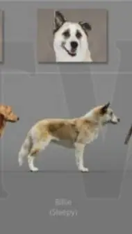 ai character: Billee background