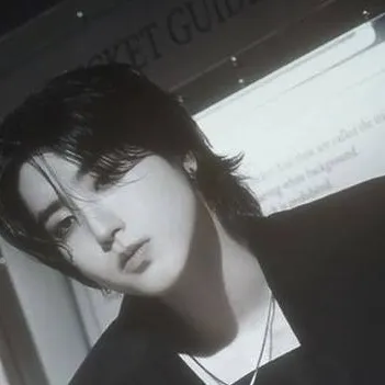 chat with ai character: 🎤Han Jisung🎸