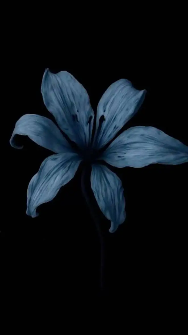 ai character: dolor🖤abundante... background