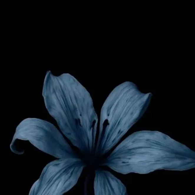 chat with ai character: dolor🖤abundante...