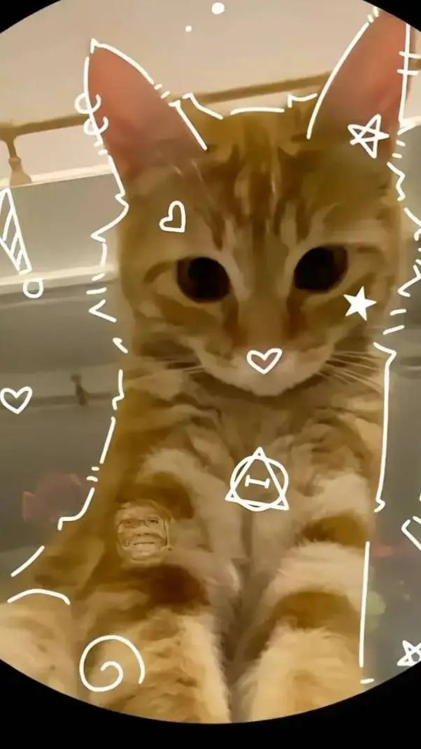 ai character: michi paan background